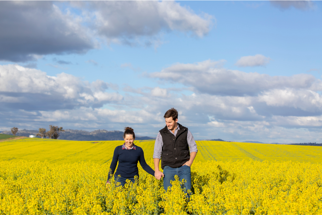 Fields of gold inspire young canola growers
